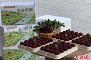 入宅吉日高速赋能产业升级：一条“杨梅路”的致富密码
