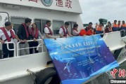 入宅吉日浙江今年计划放流种类海洋水生生物苗种超15亿单位